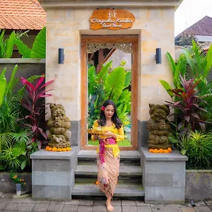 Cempaka Kembar Guest house